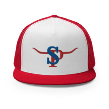 Load image into Gallery viewer, "The Branded Patriot"