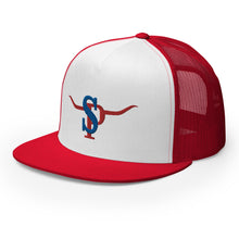 Load image into Gallery viewer, "The Branded Patriot"