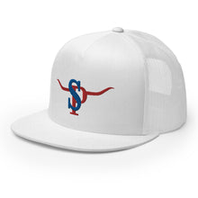 Load image into Gallery viewer, "The Branded Patriot"