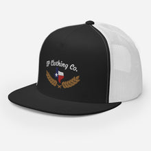 Load image into Gallery viewer, Texas Yupoong 6006 Hat
